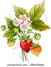 white flower. strawberries. strawberry leaf. beautiful strawberry. berry. strawberry growth, strawberry bloom