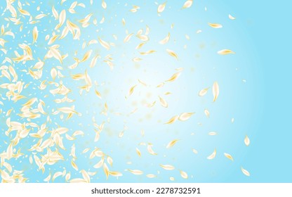 Fondo azul del vector de verano de flores blancas. Marco De Florecimiento De Oro Caído. Textura de la mosca rosa ligera. Patrón De Belleza De Peach Beige. Cartel Floral.