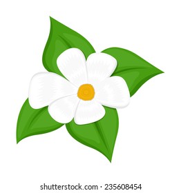 White Flower Vector