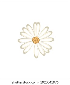 White Flower vector art design