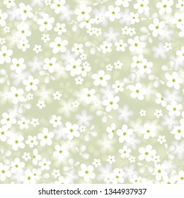 white flower. vector background with chamomile