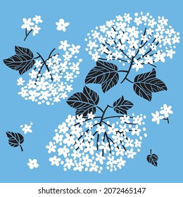 White flower vector elements for card, header, invitation, poster, social media, post publication.Traditional Ukraine viburnum berries blossom.
