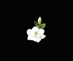 White Flower Vector Icon Logo Design Elements