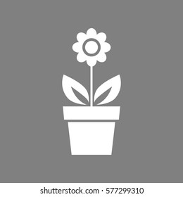 White flower vector icon on grey background
