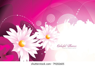 white flower vector illustration