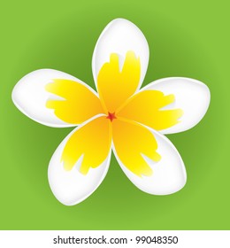 White flower vector on green background