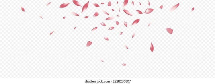 White Flower Vector Panoramic Transparent Background. Floral Valentine Design. Rosa Realistic Texture. Lotus Wallpaper Card. Color Leaf Tender Cover.