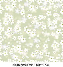 white flower. vector seamless background with chamomile