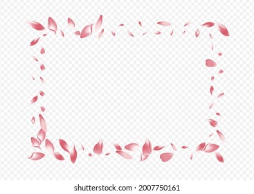 White Flower Vector Transparent Background. Bloom Springtime Design. Heart Blur Banner. Petal Soft Poster. Light Rosa March Cover.