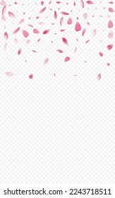 White Flower Vector Transparent Background. Peach Wallpaper Banner. Lotus Blow Congratulation. Leaf Fall Illustration. Purple Confetti Japanese Pattern.