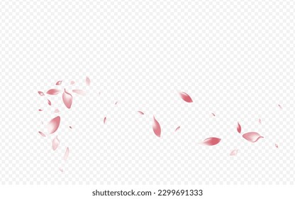 White Flower Vector Transparent Background. Sakura Feminine Cover. Blossom SummerDrop Template. Floral Wedding Card. Red Petal Dream Congratulation.