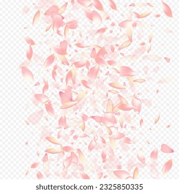 White Flower Vector Transparent Background. Petal Blur Congratulation. Blooming Realistic Backdrop. Leaf Invitation Texture. Bright Apple Wallpaper Pattern.
