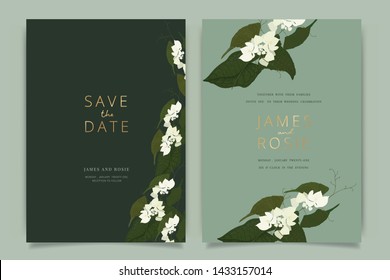 White Flower Wedding Invitation, floral invite thank you, rsvp modern card Design in Stephanotis with leaf greenery  branches decorative Vector elegant rustic template