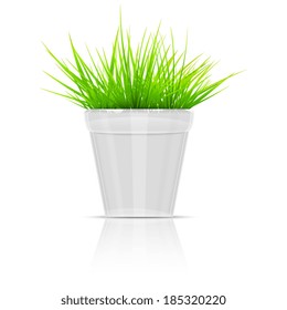 White Flowerpot With Green Grass. Vector Illustration.