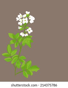 White flowers 2
