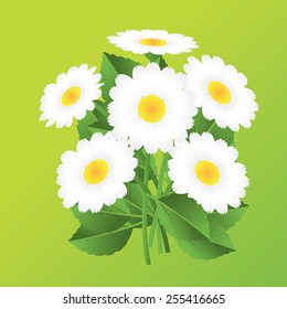 white flowers