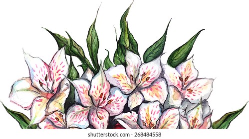 White flowers alstroemeria flower bouquet composition isolated vector