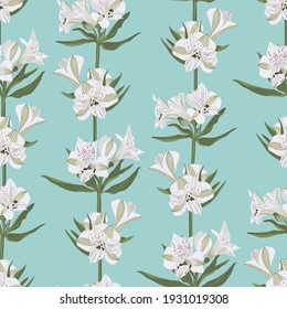 White flowers of Alstroemeria on a blue background. Seamless pattern. Vector.