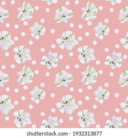 White flowers of Alstroemeria and white polka dot on a delicate pink background. Seamless pattern. Vector.