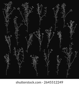 Flores brancas dispostas em um grupo impressionante se destacam contra um fundo preto escuro, criando um contraste ousado. As pétalas delicadas e texturas macias acrescentam elegância, enquanto a paleta monocromática.