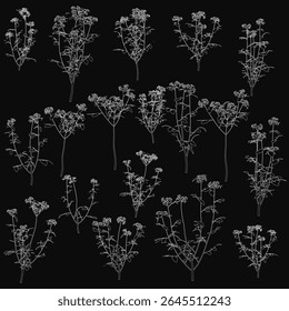 Flores brancas dispostas simetricamente sobre um fundo preto criam um contraste impressionante e uma composição equilibrada. As delicadas pétalas destacam-se vividamente contra o fundo escuro, enfatizando a sua.