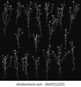Flores brancas dispostas simetricamente sobre um fundo preto criam um contraste impressionante. As delicadas pétalas se destacam vividamente contra o fundo escuro, enfatizando sua pureza e elegância.
