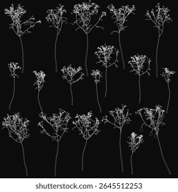 Flores brancas dispostas simetricamente sobre um fundo preto criam um contraste impressionante, com cada flor exibindo texturas únicas e pétalas delicadas. O fundo escuro aumenta a pureza e.