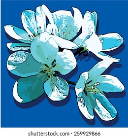 White flowers. Blossoming flowers apple-tree. Vector illustration 4