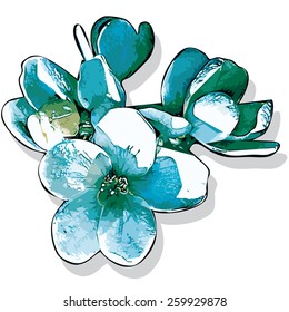 White flowers. Blossoming flowers apple-tree. Vector illustration 6