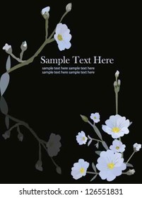 white flowers and branches with black background