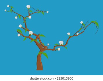 White Flowers Branches Vector Illustration
