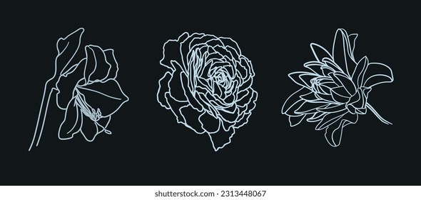 White flowers collection outline vector. Flowers line art tattoo on black background. Wedding Logo elements. Minimal line design.  