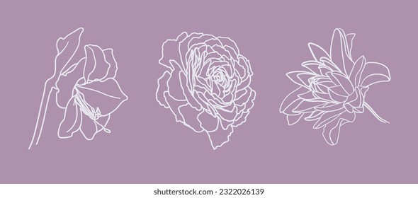 White flowers collection outline vector clipart. Flowers line art tattoo on pink background. Wedding Logo elements 