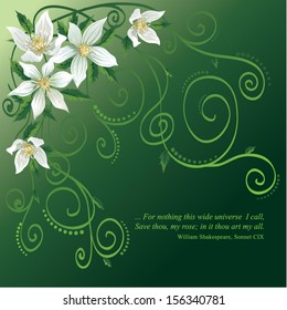 weiße Blumen mit einem dekorativen Muster auf grünem Hintergrund