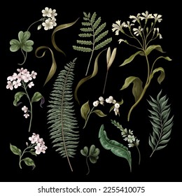 White flowers,  fern and different leaves isolated. Botanical illustration. Vector