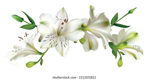 White flowers. Floral background. Leaves. Lilies.