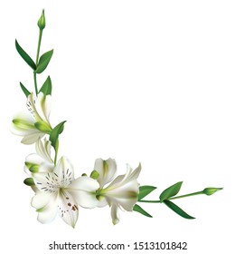 White flowers. Floral background. Leaves. Lilies.