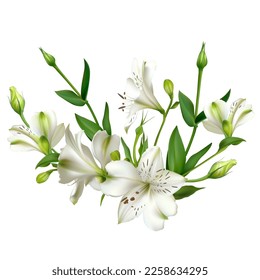 White flowers. Floral background. Leaves. Lilies.