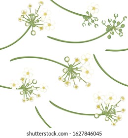 White flowers. Floral background. Seamless pattern. Green. Vector illustration.