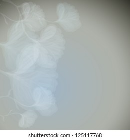 White flowers / Floral square background