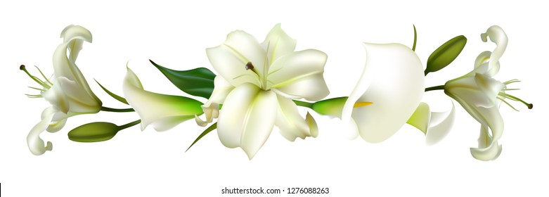 White flowers. Flower background.  Lilies. Green leaves. Border.