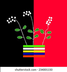 white flowers in flowerpot
