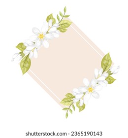 white flowers frame or background