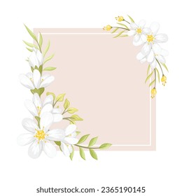 white flowers frame or background