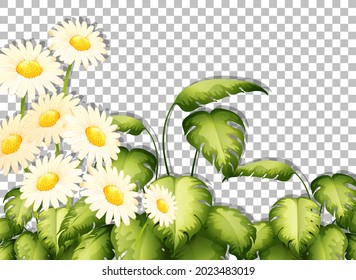 White flowers frame template on transparent background illustration