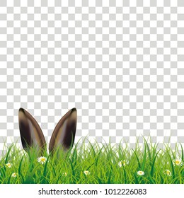 White flowers in grass with hare ears on the checked background. Eps 10 vector file.