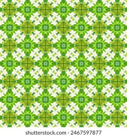 White flowers are grouped in circles. It's a bouquet of white flowers. On the green leaves Gives you a feeling of freshness, freshness, and comfort.
