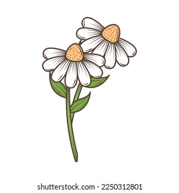 icono de flores blancas aislado