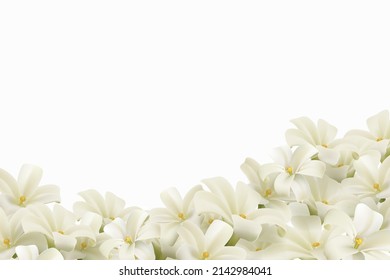 White flowers isolated on white background. Realistic EPS file.