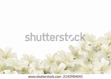 White flowers isolated on white background. Realistic EPS file.